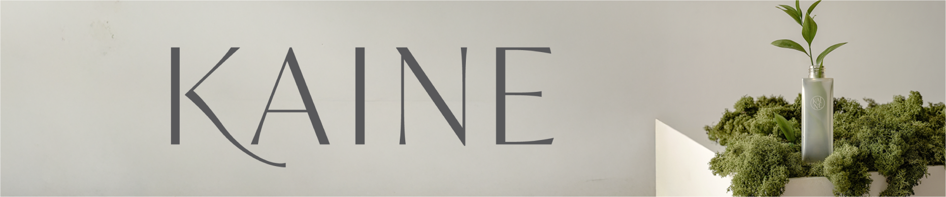 footer banner