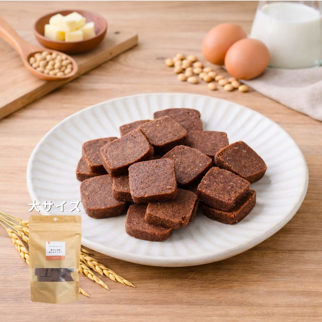 【企業様限定】クッキー（ココア）｜大　10袋