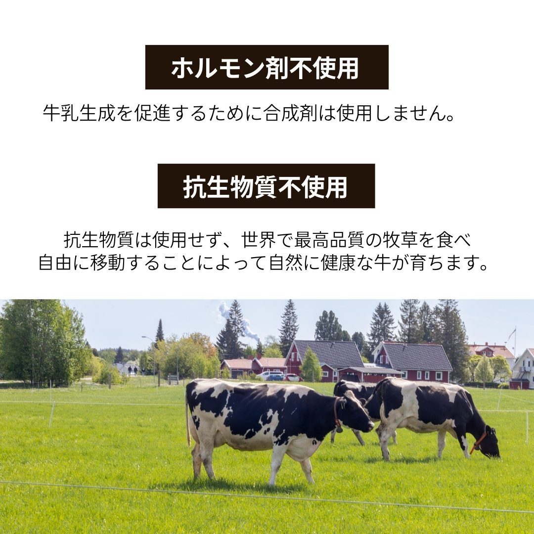 コーンスープ・プロテイン｜大サイズ（15食分）｜1袋