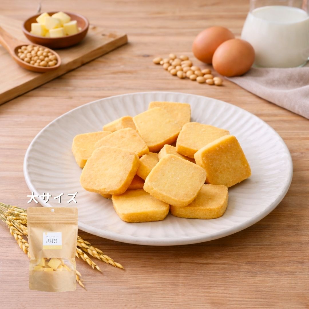 【企業様限定】 クッキー（プレーン）｜大　10袋 