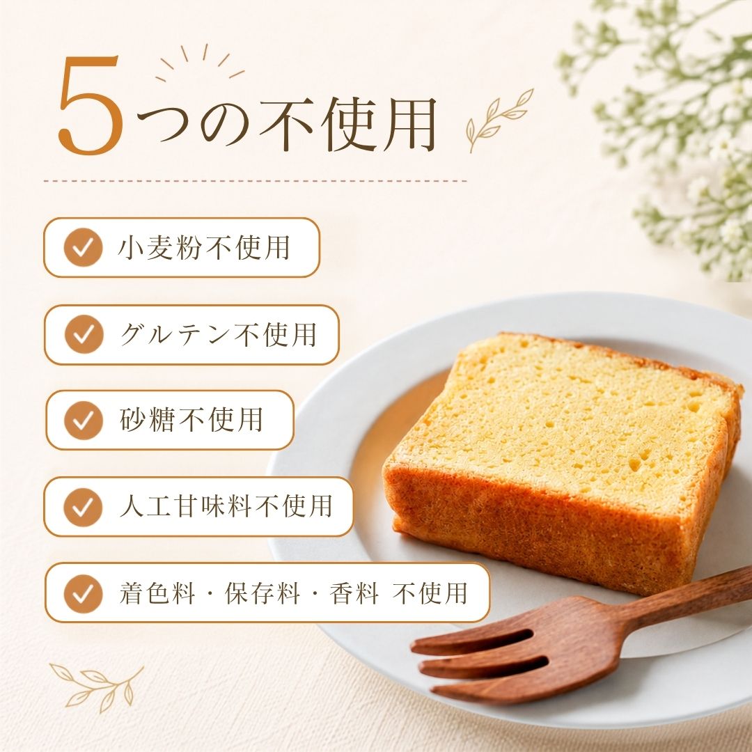 健美屋パウンド（チョコレート）｜1個