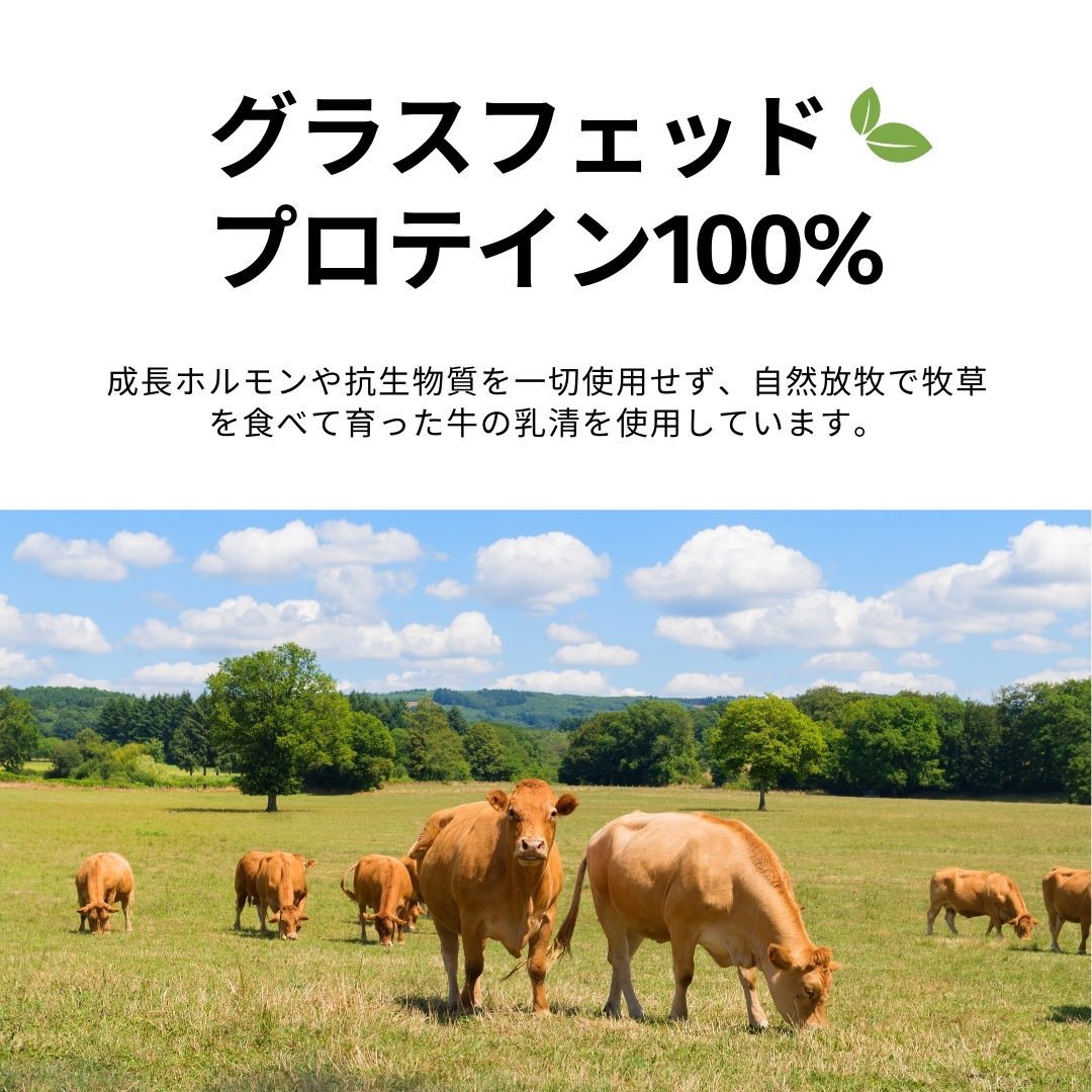 コーンスープ・プロテイン｜大サイズ（15食分）｜1袋