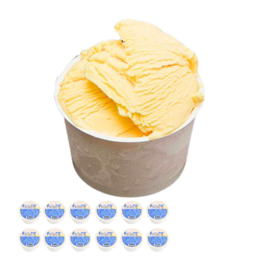 アイスクリーム（特濃ミルク）｜12個　◎予約注文承り中（8月上旬に再販予定）　※指定日は不可（※他商品と一緒に購入された場合は、まとめての配送となります）