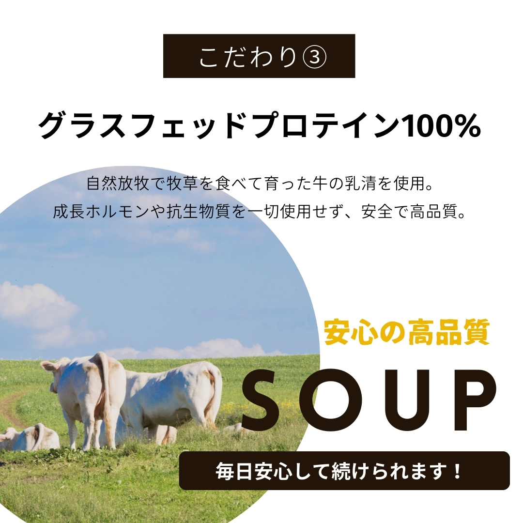 コーンスープ・プロテイン｜大サイズ（15食分）｜1袋
