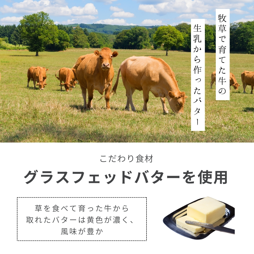 パウンドケーキ（プレーン）｜9個入り　常温・メール便・指定日不可