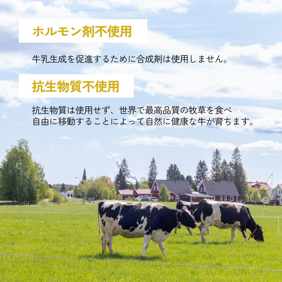 ラテ・プロテイン（ミルクココア）｜1袋