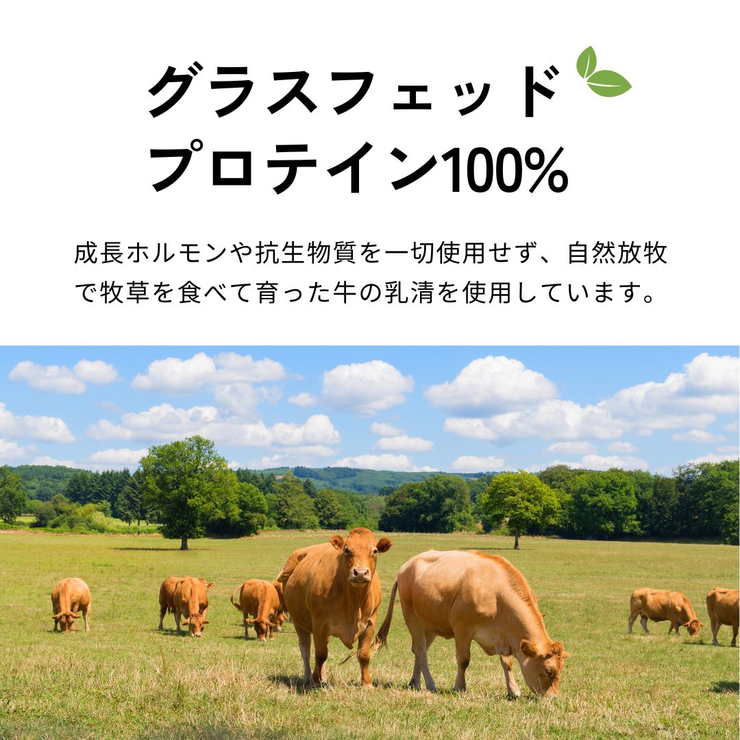 【ノンカフェイン】ラテ・プロテイン（珈琲）｜大サイズ（15食分）｜1袋