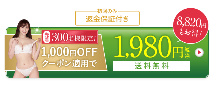 1,000円OFFクーポン適用で3,980円