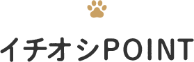 イチオシPOINT
