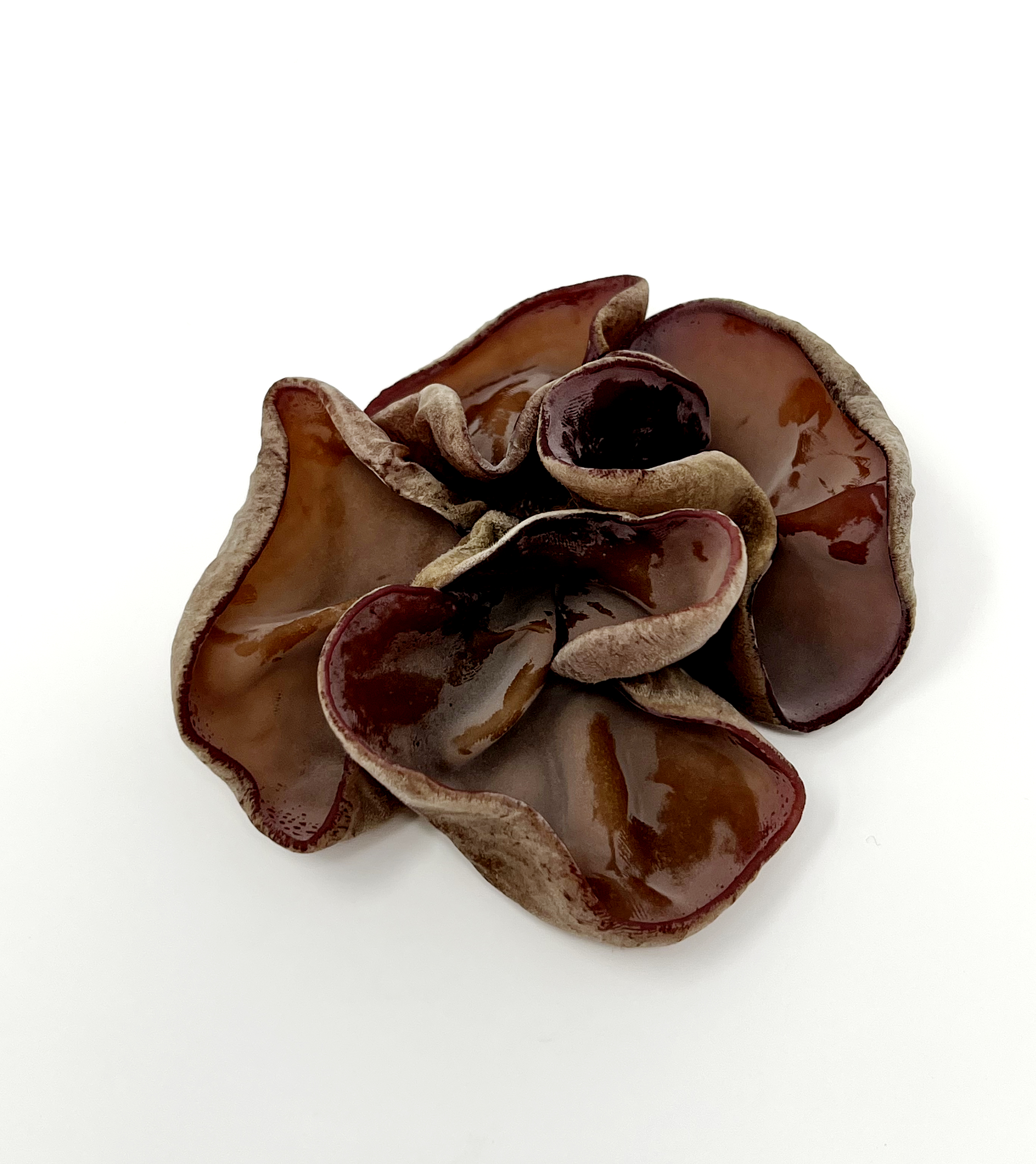 生きくらげ【100g】