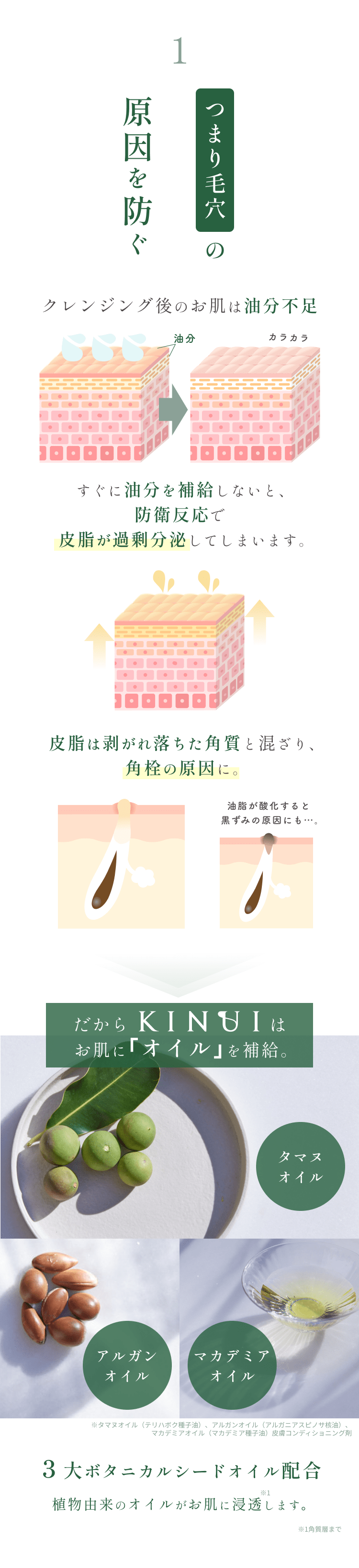 
1.つまり毛穴の原因を防ぐ
クレンジング後のお肌は油分不足
すぐに油分を補給しないと、防衛反応で皮脂が過剰分泌してしまいます。
皮脂は剥がれ落ちた角質と混ざり、角栓の原因に。
油脂が酸化すると黒ずみの原因にも…。
だからKINUIはお肌に｢オイル｣を補給。
アルガンオイル
タマヌオイル
マカデミアオイル
３大ボタニカルシードオイル配合
植物由来のオイルがお肌に浸透し、皮脂の過剰分泌を防ぎます。
        
