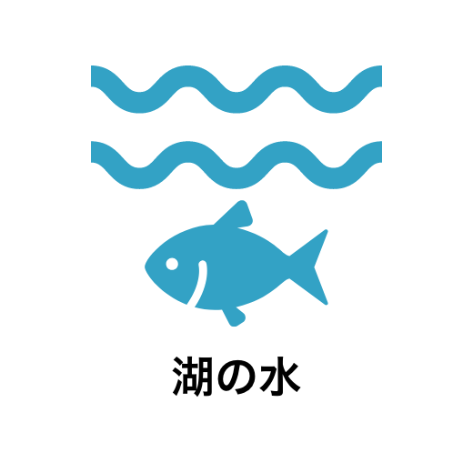 湖の水の浄水