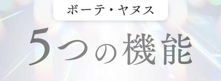 5つの機能