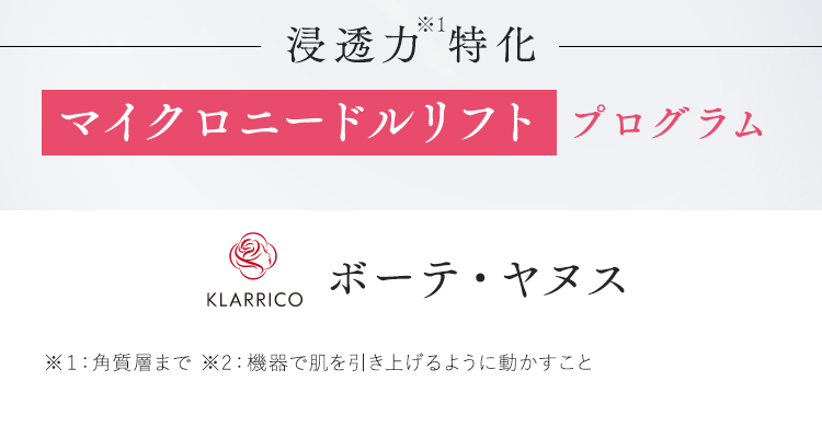 マイクロニードルリフト プログラム