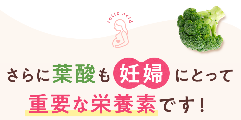 さらに葉酸も妊婦にとって重要な栄養素です！