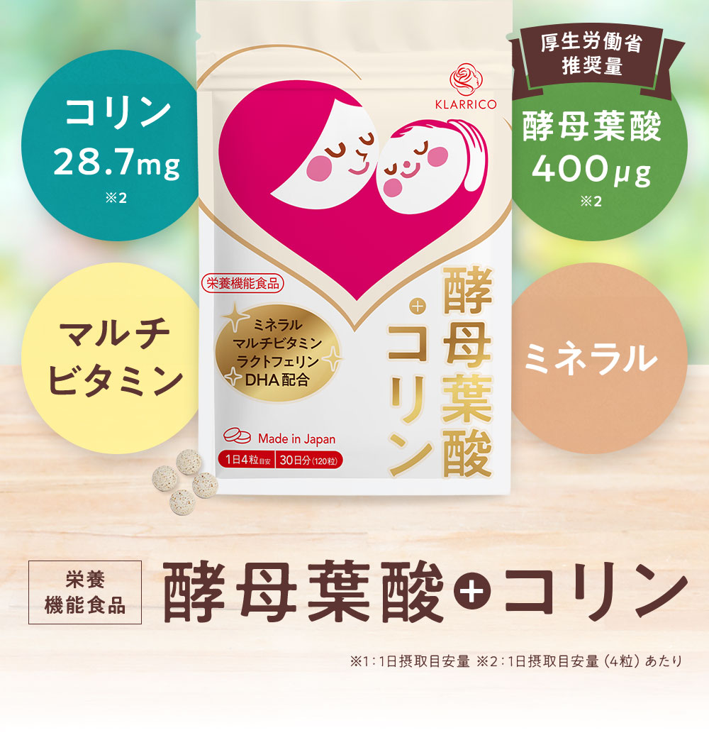 酵母葉酸+コリン