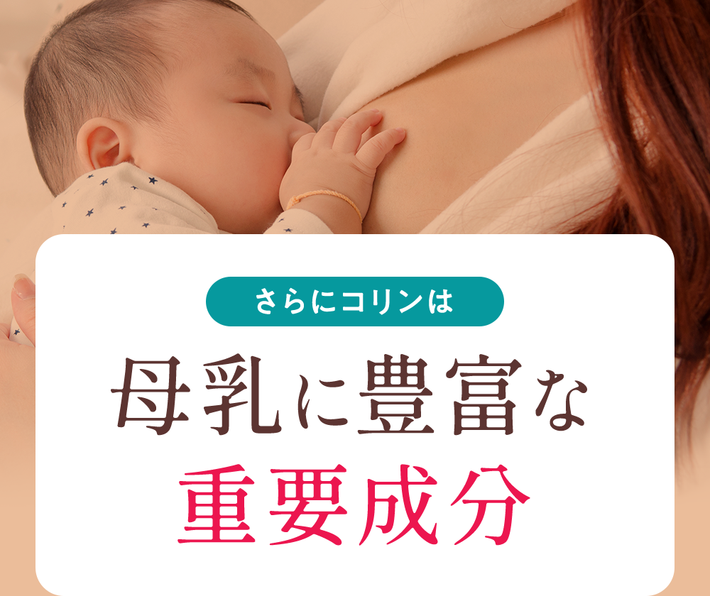 母乳に豊富な重要成分