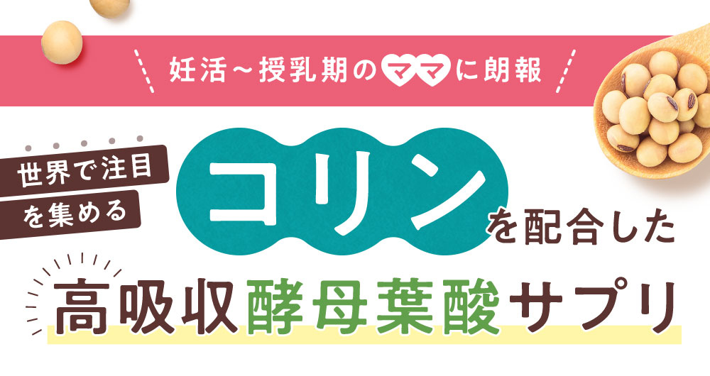 コリンを配合した高吸収酵母葉酸サプリ