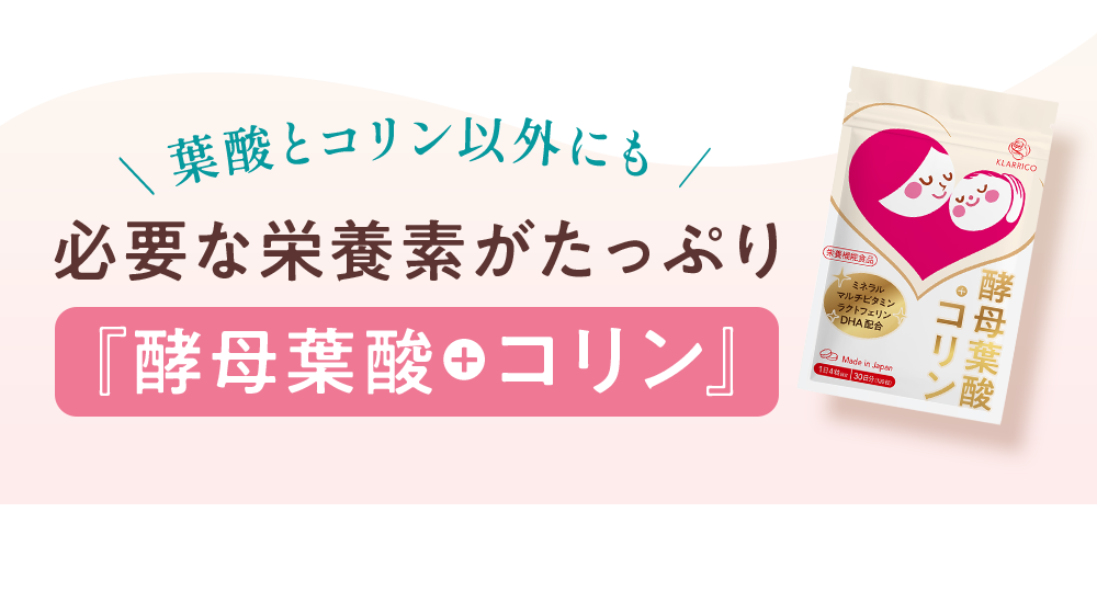 必要な栄養素がたっぷり