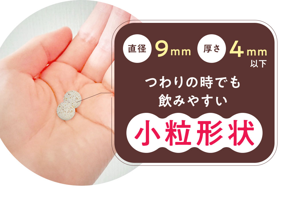 つわりの時でも飲みやすい小粒形状