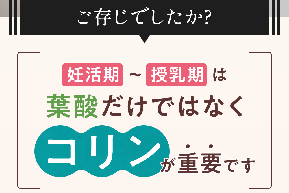 妊活期～授乳期は葉酸だけではなく