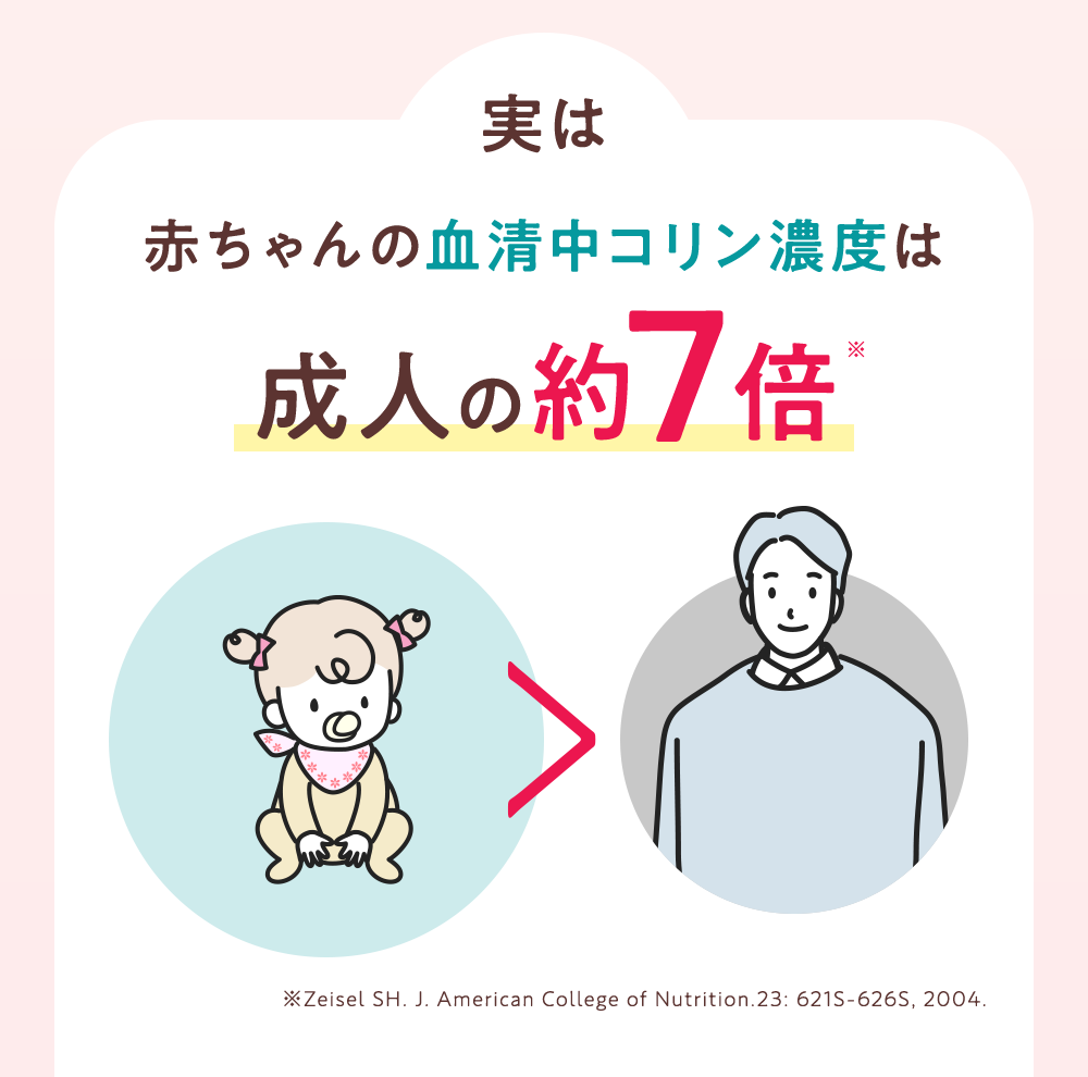 赤ちゃんの血清中コリン濃度は成人の約7倍