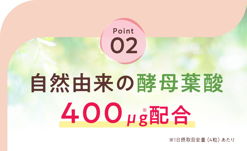 自然由来の酵母葉酸400μg配合