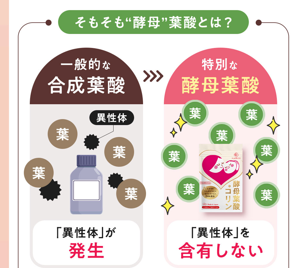 そもそも“酵母”葉酸とは？