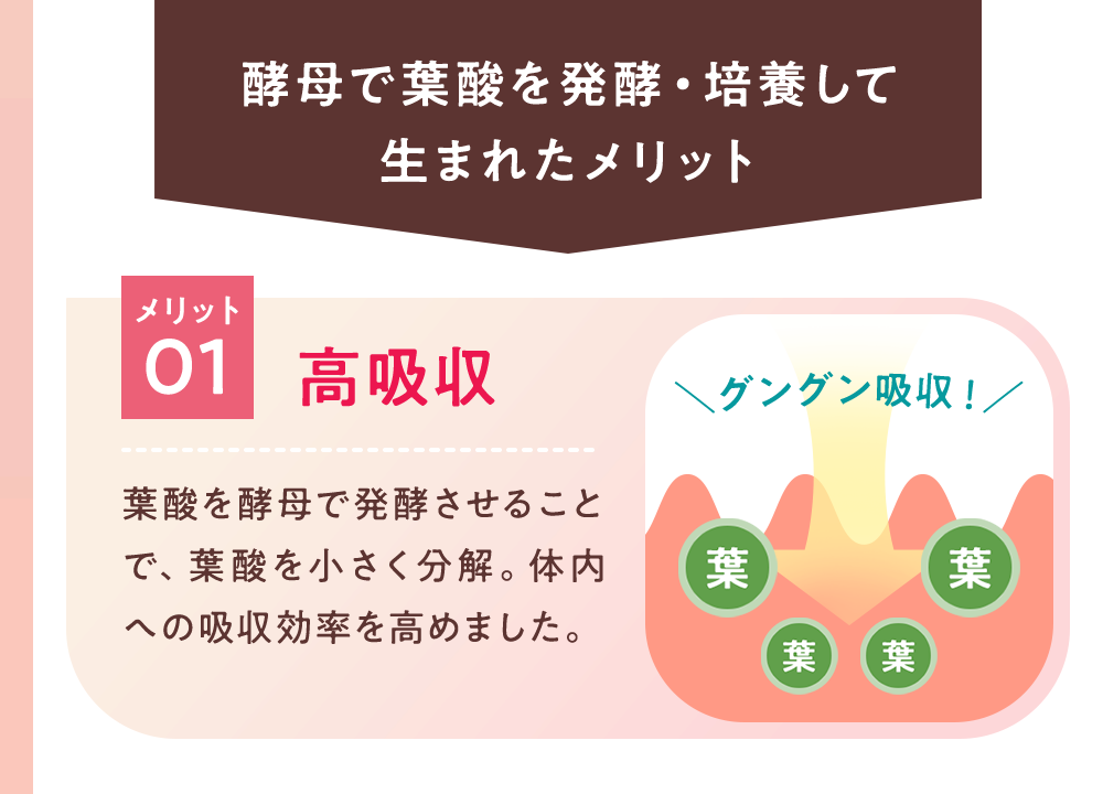 酵母で葉酸を発酵・培養して生まれたメリット