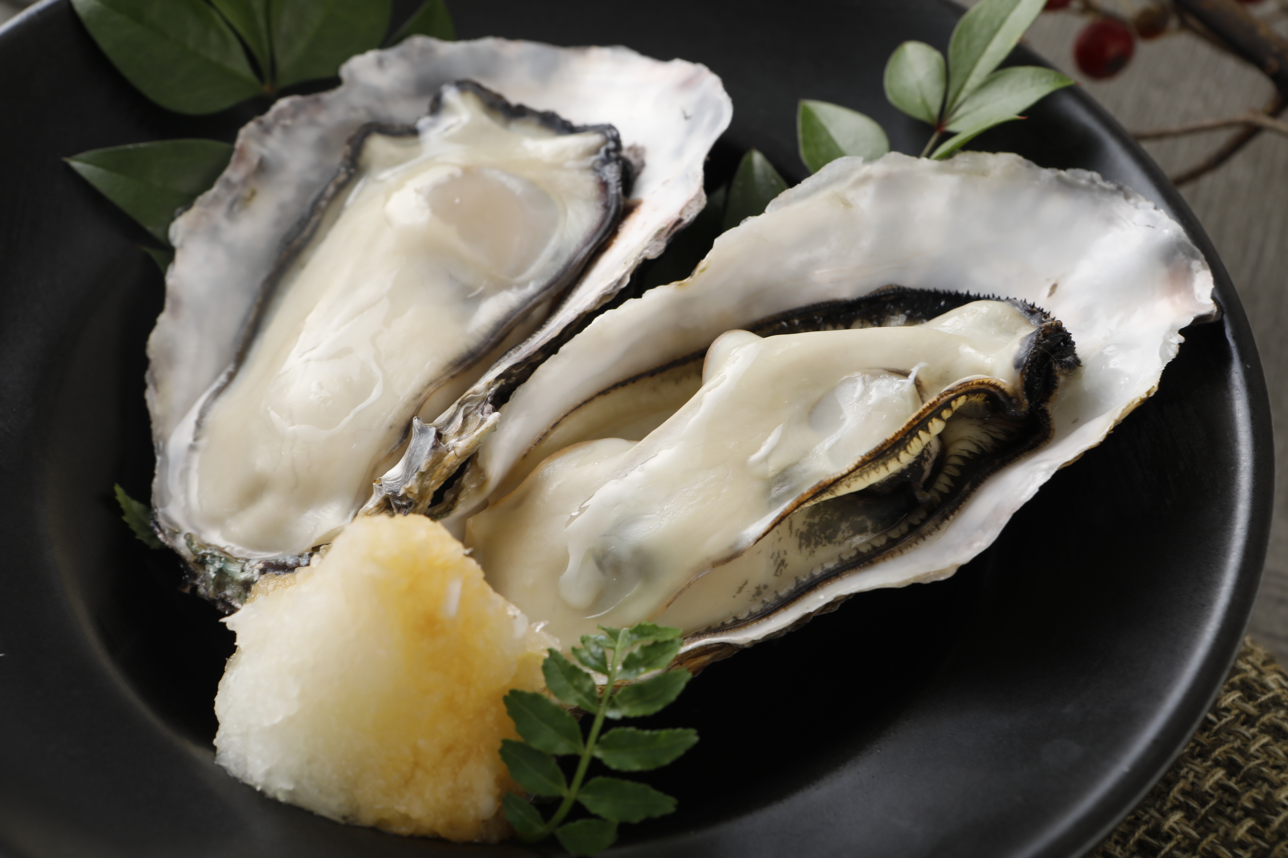 【予約・定期便3回】坂越の生かき 殻付き2kg＋むき身500g×1