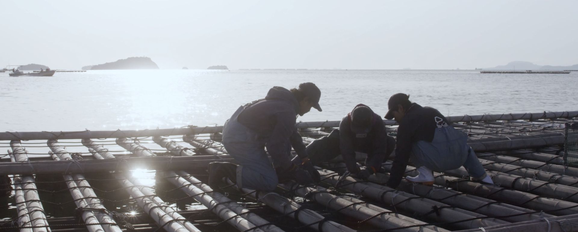 坂越湾の海と、牡蠣の養殖の作業