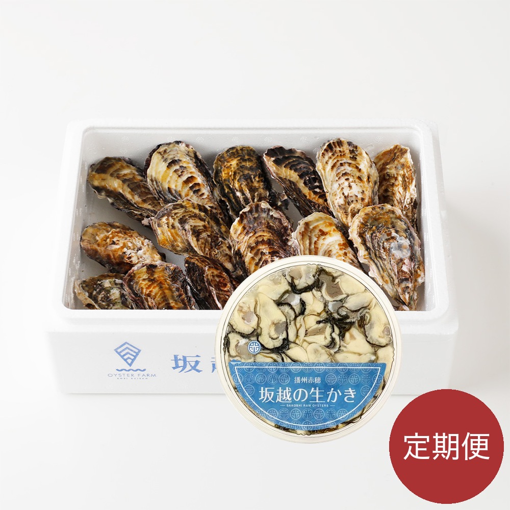 【予約・定期便3回】坂越の生かき 殻付き2kg＋むき身500g×1