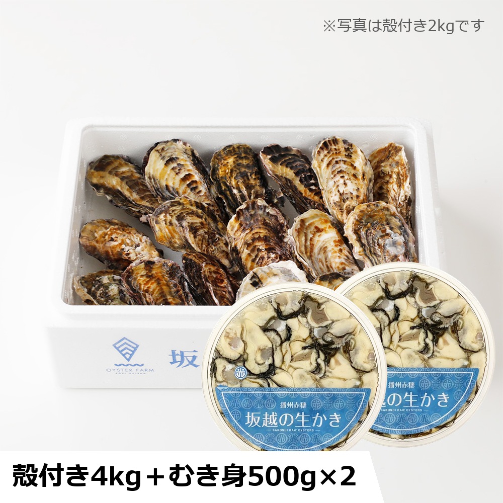 【予約】坂越の生かき 殻付き4kg＋むき身500g×2