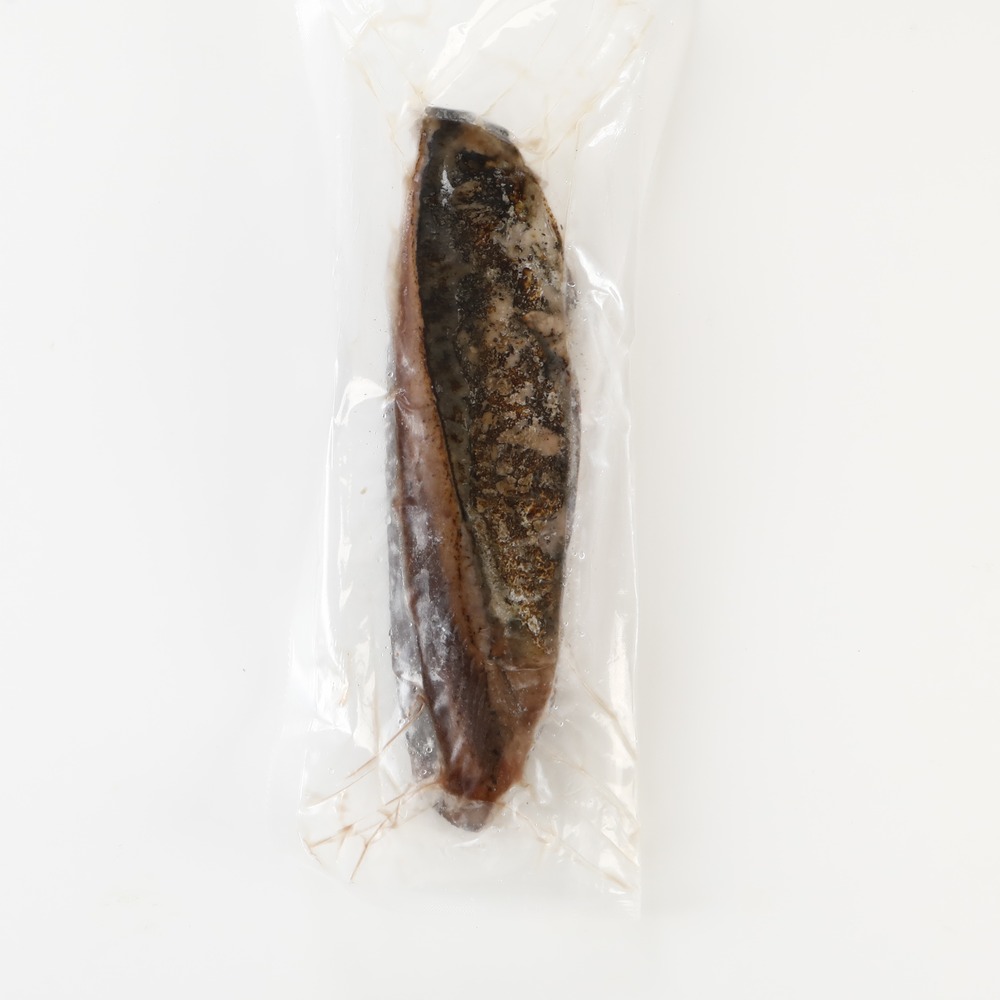 【ギフト】冷凍 殻付き牡蠣3袋・むき牡蠣1袋と鰹のたたきのセット
