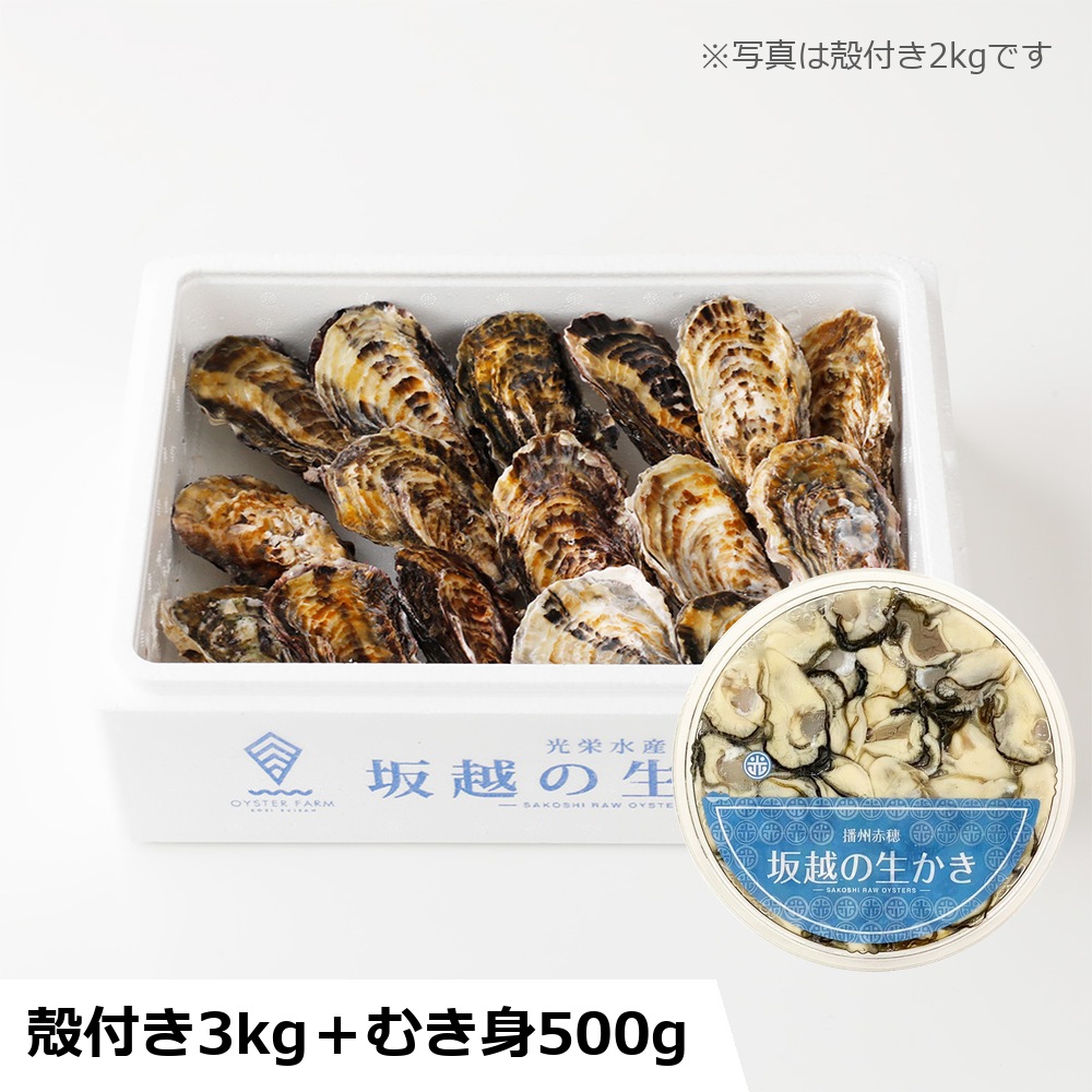 【予約・ギフト】坂越の生かき ギフト大 むき身500g＋殻付き3kg お届け日: 12/15（火）着