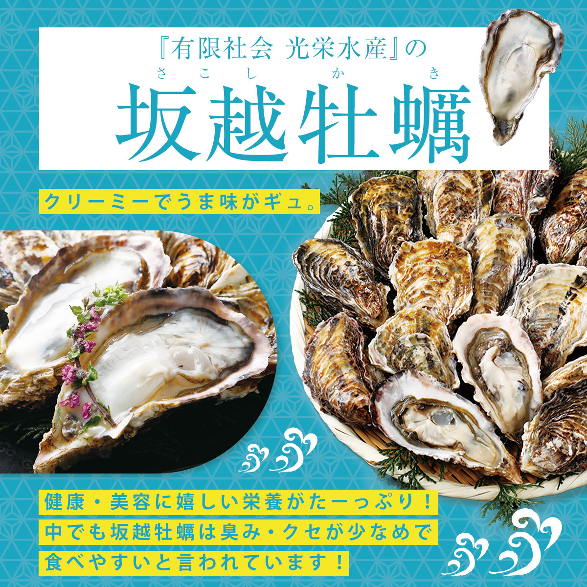 冷凍殻付き牡蠣（生食用）