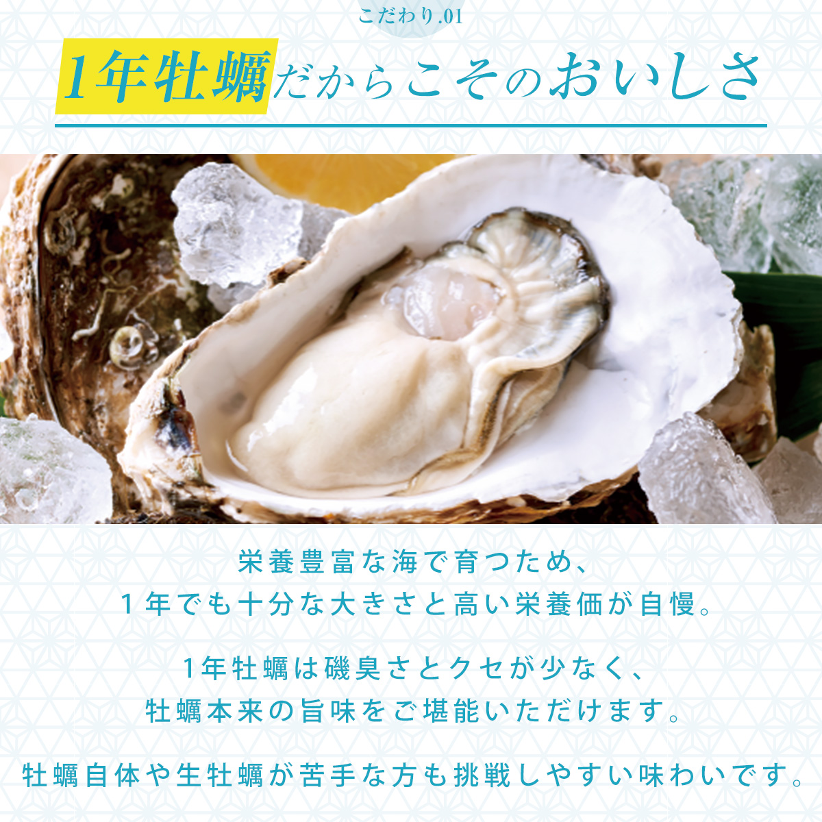 冷凍殻付き牡蠣（生食用）