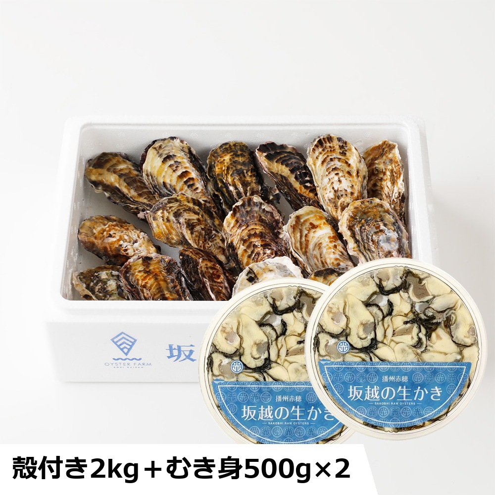 【予約・ギフト】坂越の生かき ギフト大 むき身500g×2＋殻付き2kg お届け日: 12/15（火）着