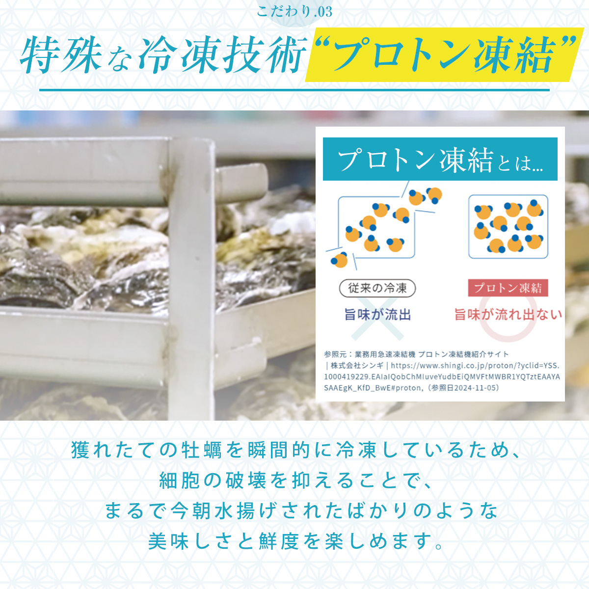 冷凍殻付き牡蠣（生食用）