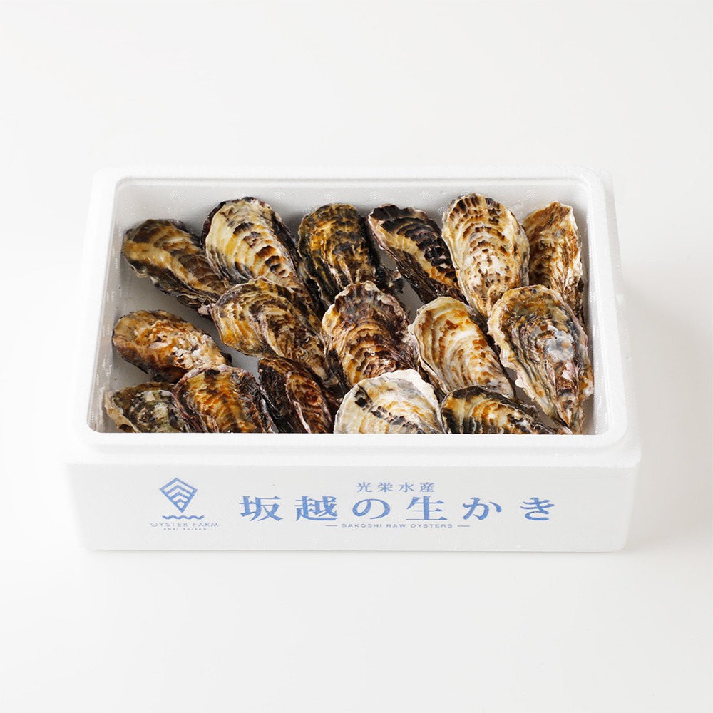 【予約】坂越の生かき 殻付き（1kgから）