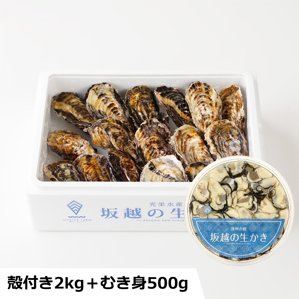 【予約・ギフト】坂越の生かき ギフト中 むき身500g＋殻付き2kg お届け日: 12/15（火）着