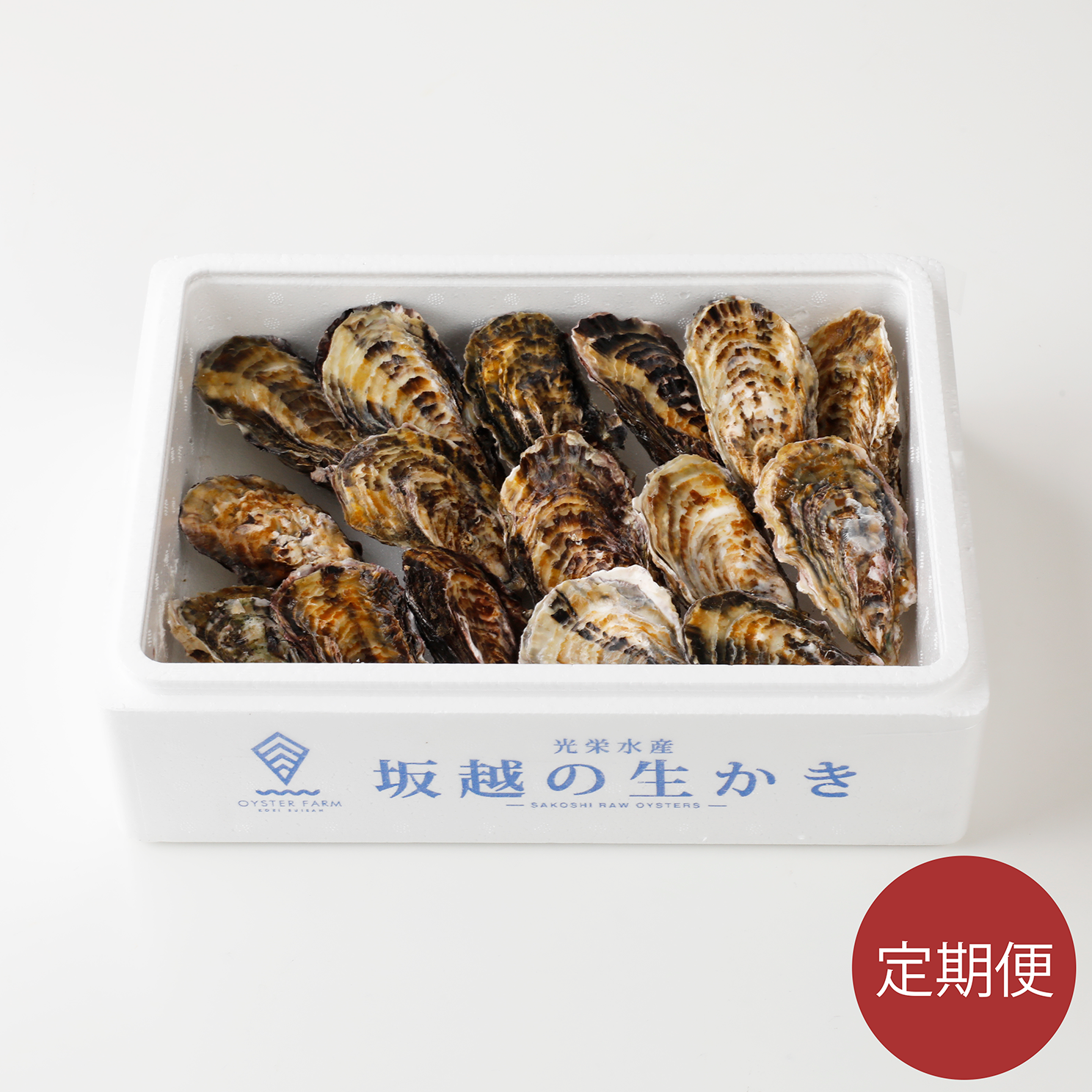 【予約・定期便2回】坂越の生かき 殻付き3kg
