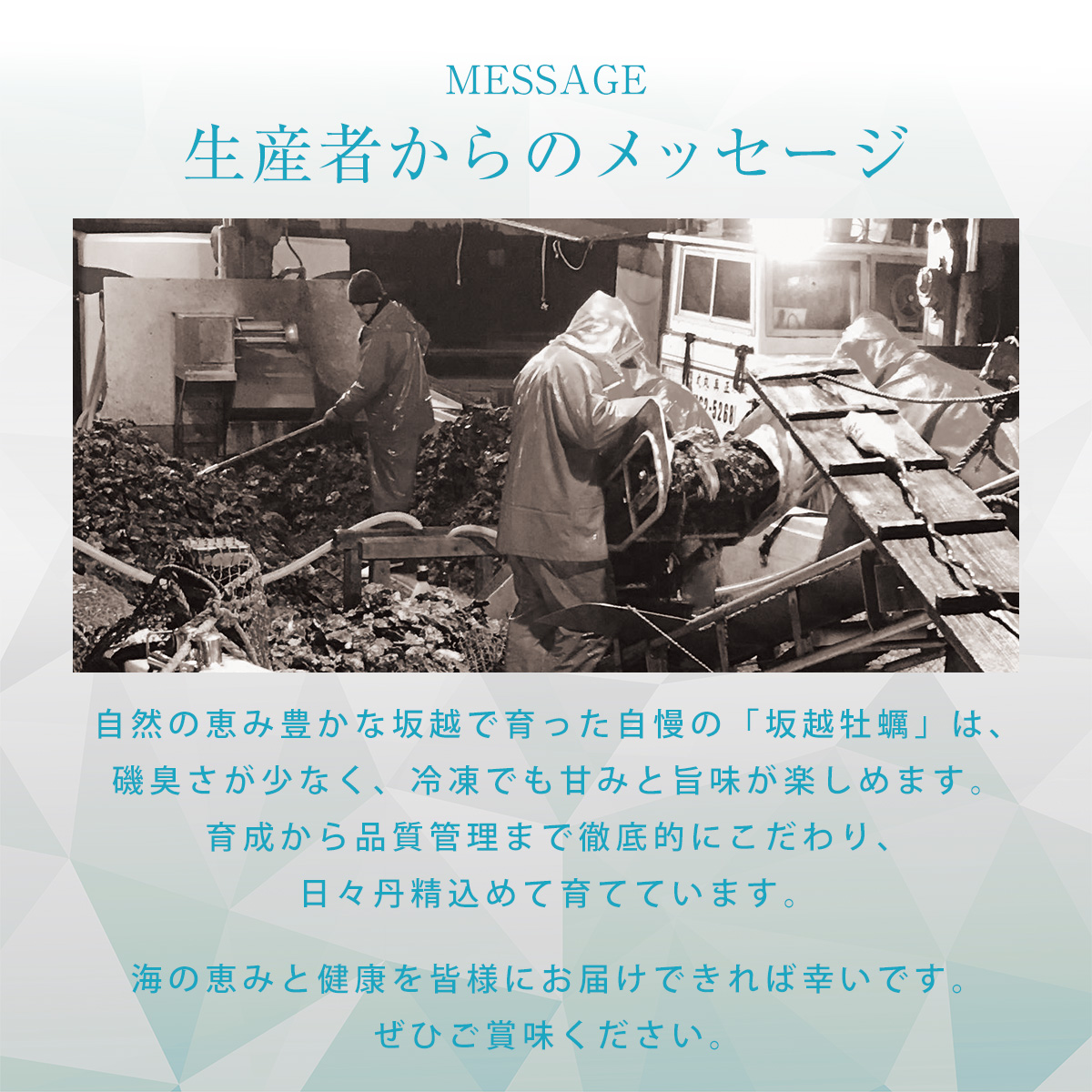 【毎月10日限定！】冷凍殻付き牡蠣 特大！！3L