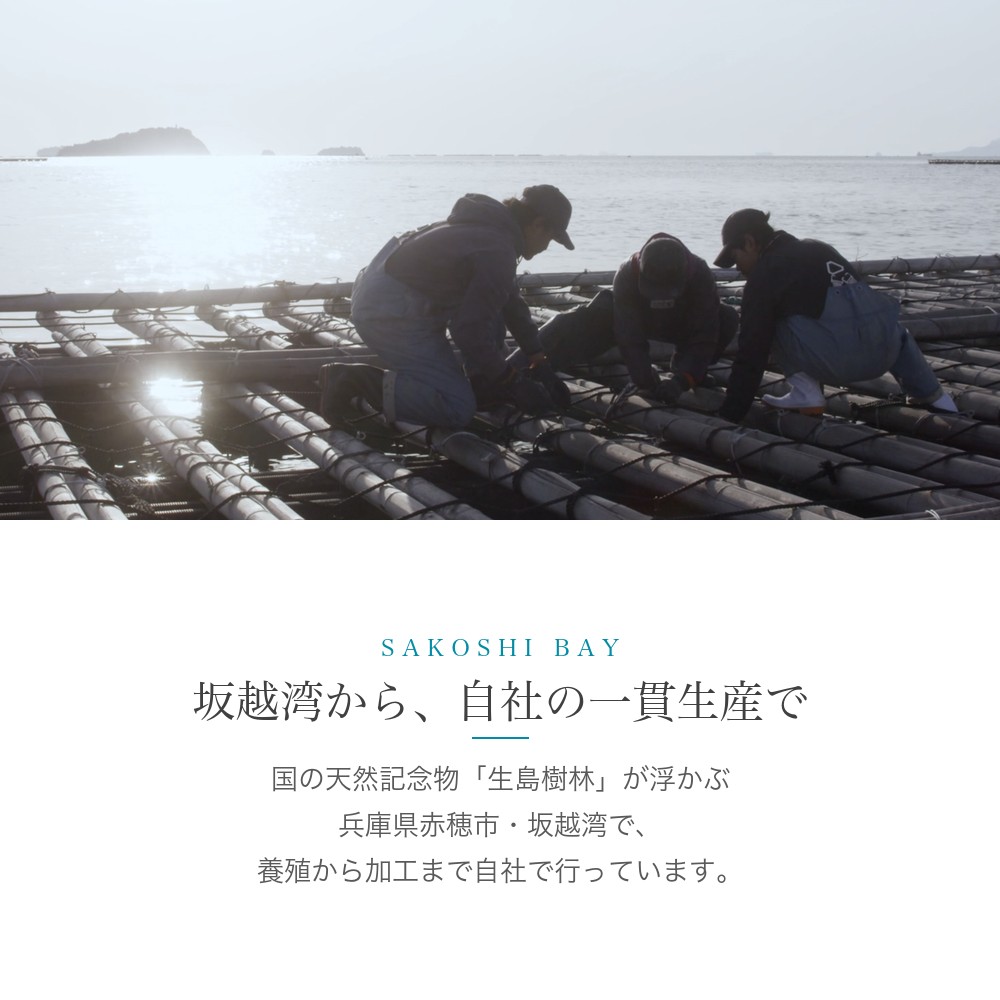 【ギフト】冷凍 殻付き牡蠣3袋とむき牡蠣1袋のセット