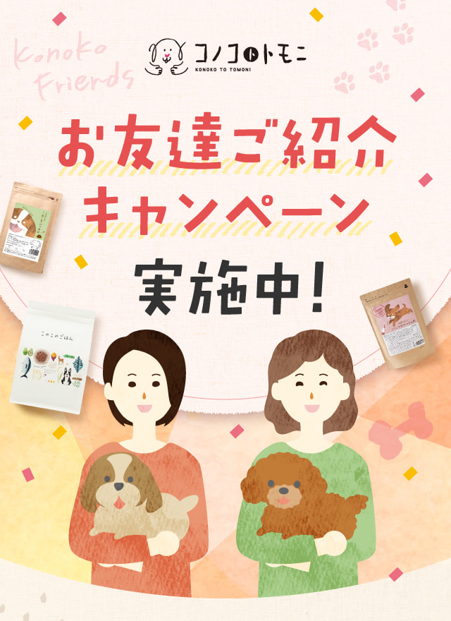 お友達ご紹介キャンペーン実施中！