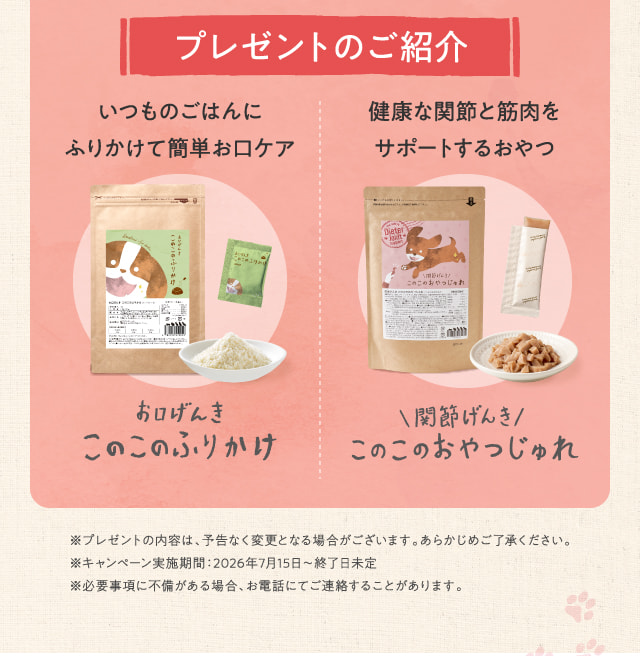 プレゼントのご紹介