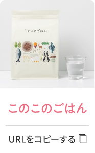 このこのごはん