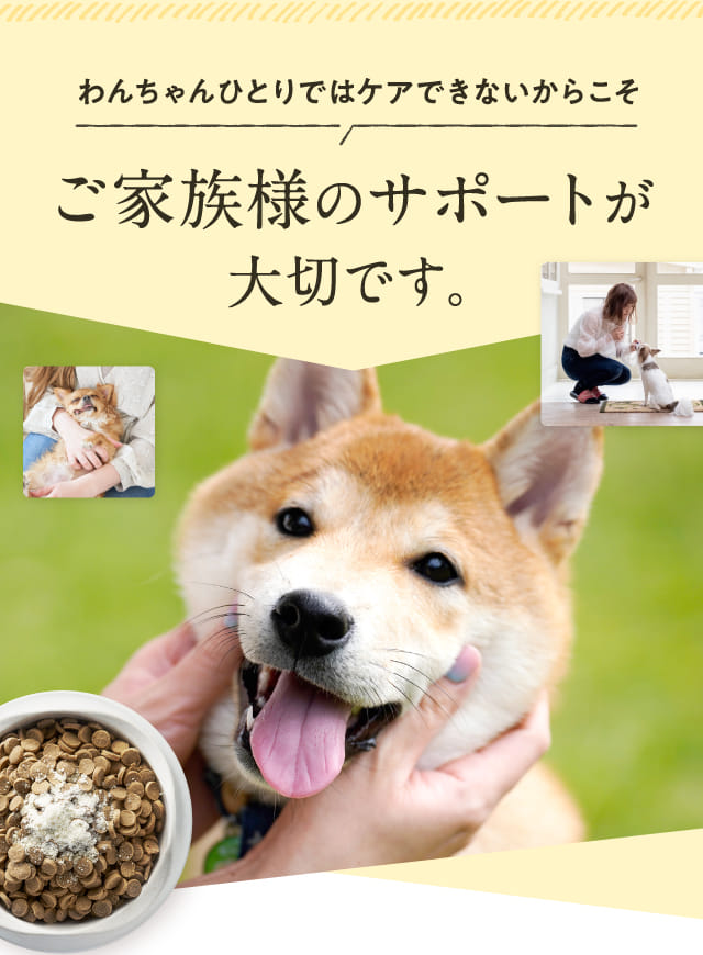 わんちゃんひとりではケアできないからこそご家族様のサポートが大切です。