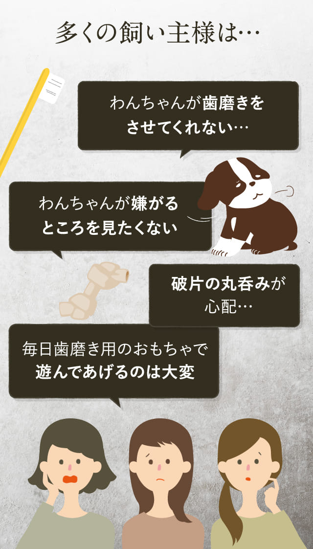 多くの飼い主様は…わんちゃんが歯磨きをさせてくれない…