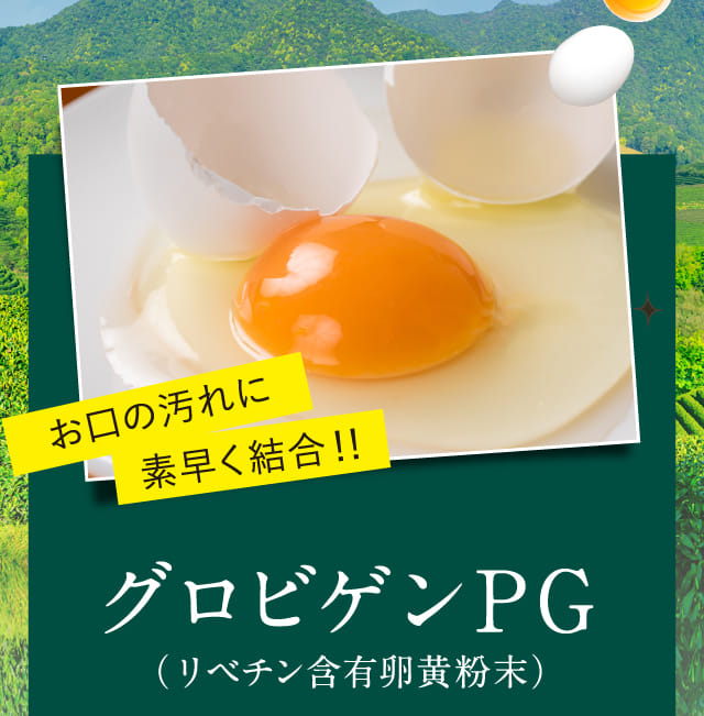 お口の汚れに素早く結合！グロビゲンPG